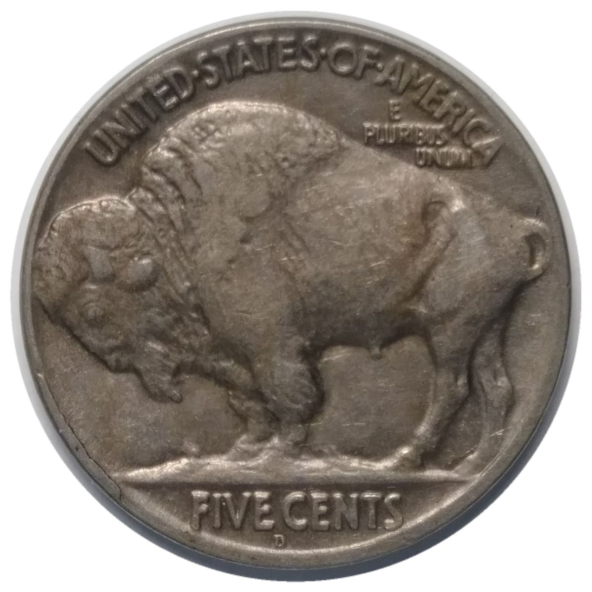 1925-D-Buffalo-Nickel